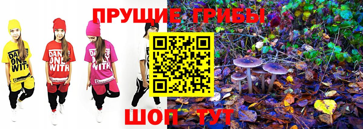 где купить наркотик  Ливны  Псилоцибиновые грибы ЛСД 