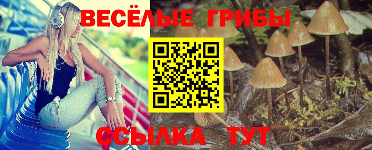 Ливны  Галлюциногенные грибы Psilocybe  купить наркотики цена  Вход с VPN 