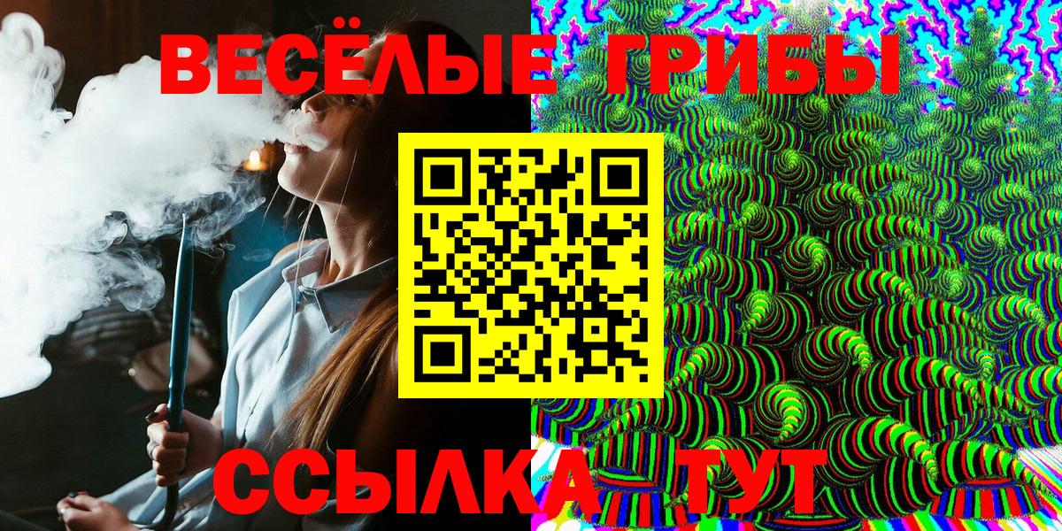 Галлюциногенные грибы GOLDEN TEACHER Ливны